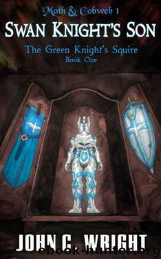 Swan Knight's Son: The Green Knight's Squire Book One (Moth & Cobweb 1) by John C. Wright