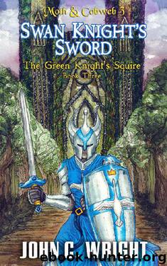 Swan Knight's Sword: The Green Knight's Squire Book Three (Moth & Cobweb 3) by John C. Wright