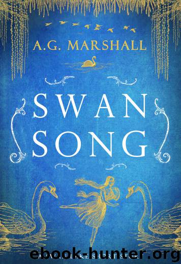 Swan Song: A Short Retelling of Swan Lake (Once Upon a Short Story Book 6) by A. G. Marshall