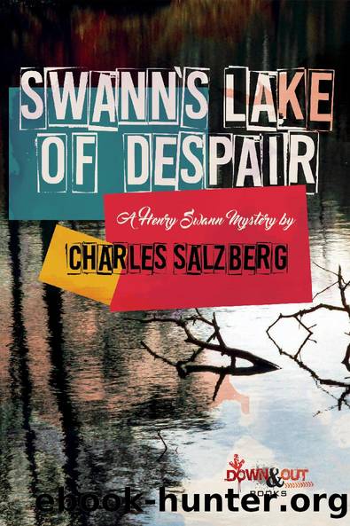 Swann's Lake of Despair by Charles Salzberg