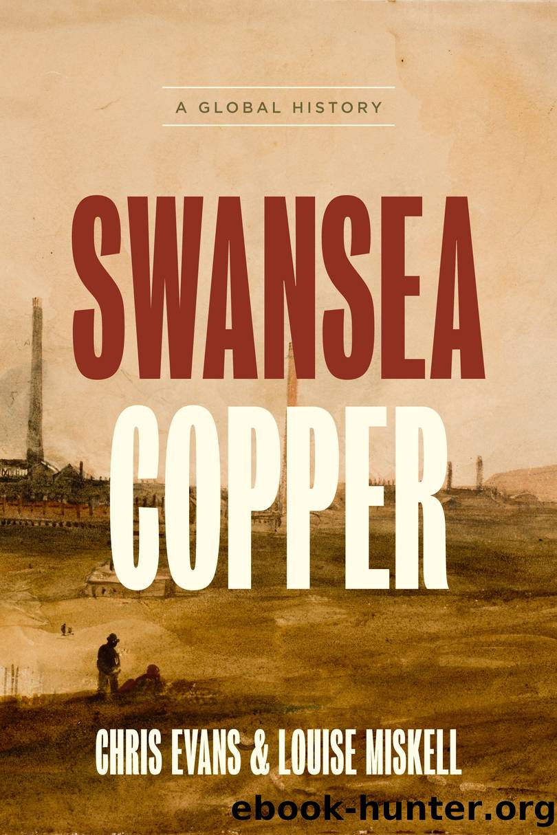 Swansea Copper by Chris Evans and Louise Miskell