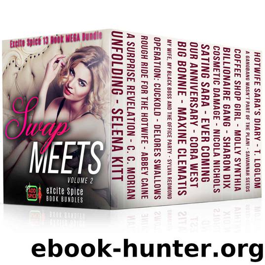 Swap Meets (Volume 2): A 13 Book Excite Spice Hotwife Erotica MEGA Bundle (Excite Spice Boxed Sets) by unknow