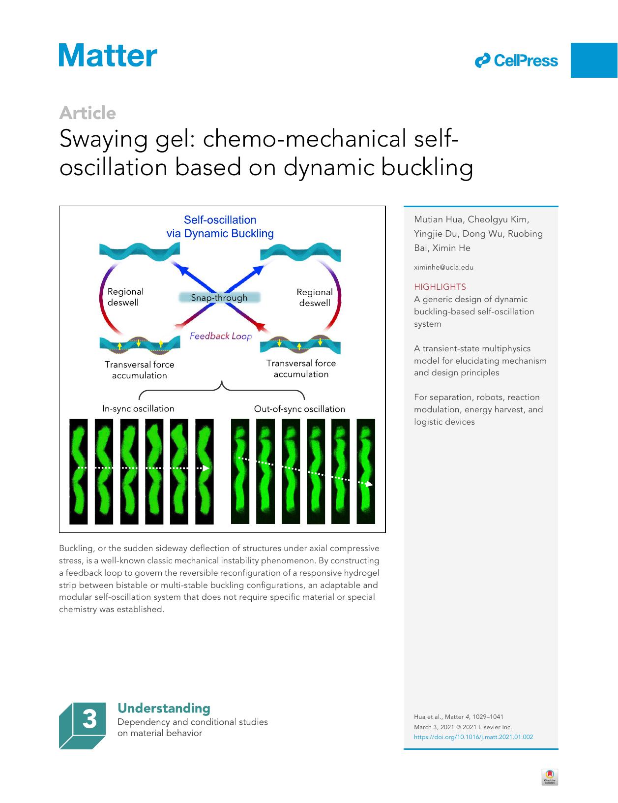 Swaying gel: chemo-mechanical self-oscillation based on dynamic buckling by Mutian Hua & Cheolgyu Kim & Yingjie Du & Dong Wu & Ruobing Bai & Ximin He