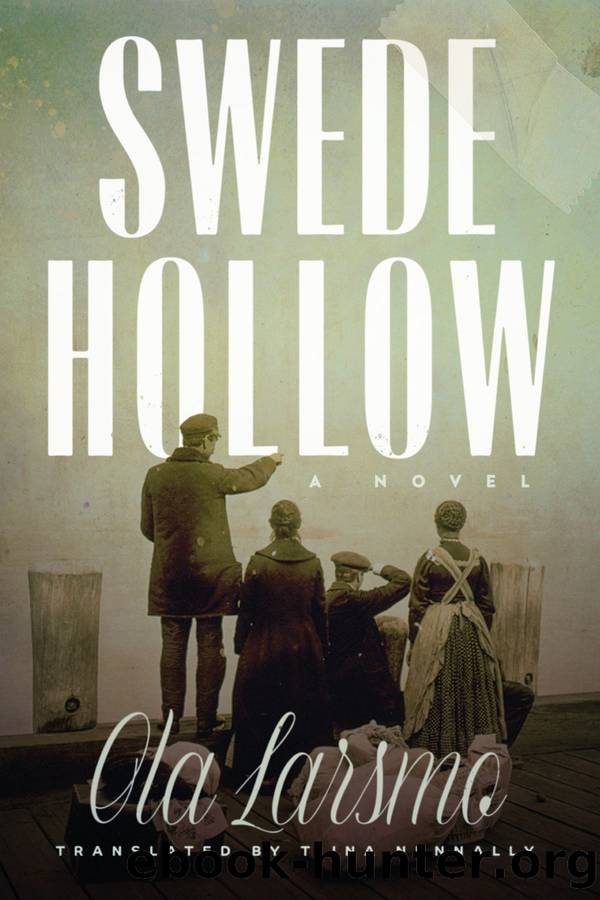 Swede Hollow: a Novel by Ola Larsmo