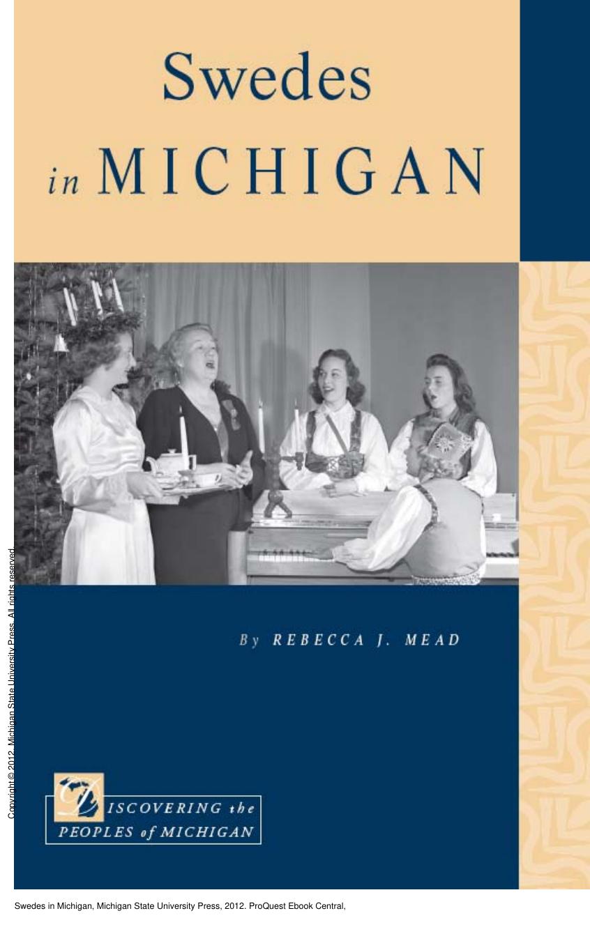 Swedes in Michigan by Rebecca J. Mead