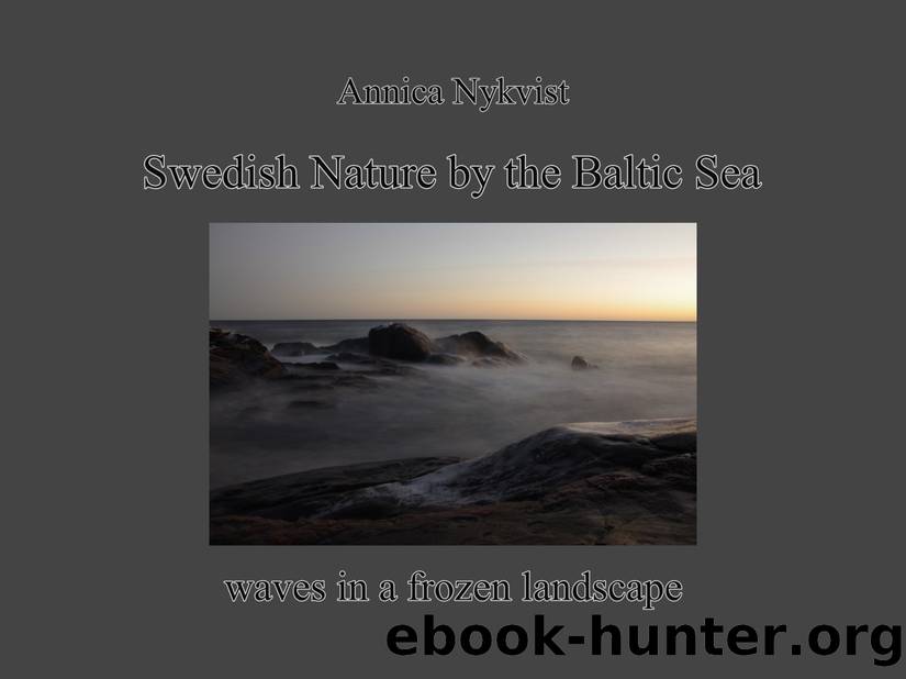 Swedish Nature by the Baltic Sea by Annica Nykvist