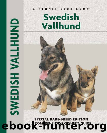 Swedish Vallhund by Janice Willton