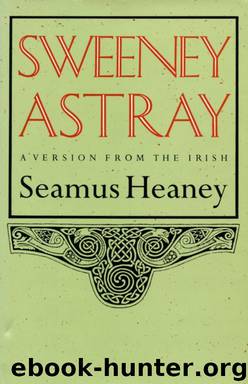 Sweeney Astray by Seamus Heaney