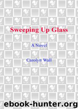 Sweeping Up Glass by Carolyn Wall