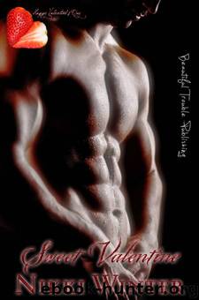 Sweet 6: Sweet Valentine by Nikki Winter