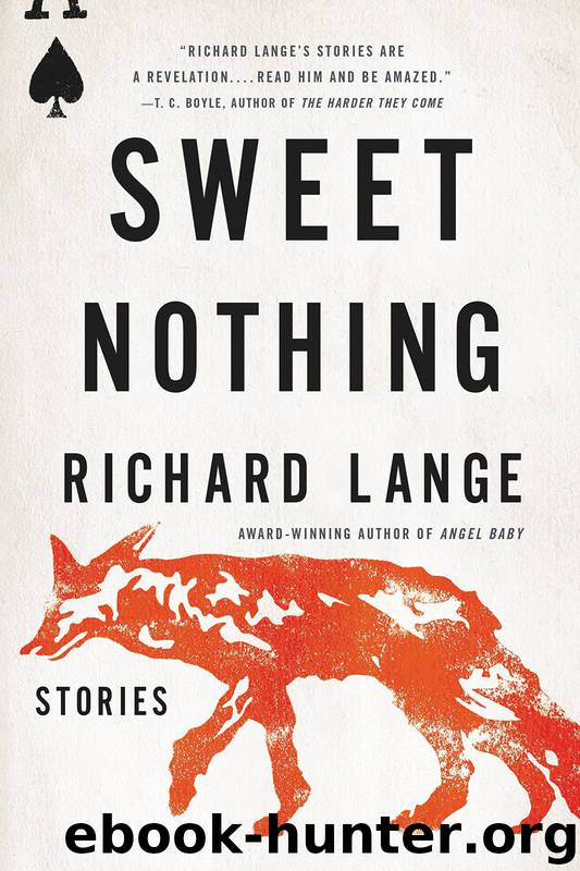 Sweet Nothing by Richard Lange