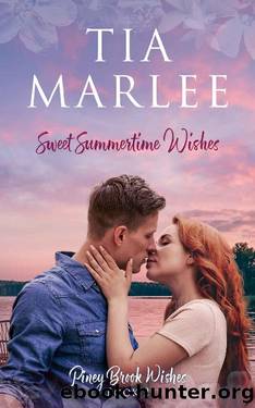 Sweet Summertime Wishes: A Sweet Small-Town Single Dad Romance (Piney Brook Wishes Book 2) by Tia Marlee