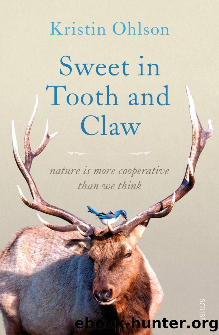 Sweet in Tooth and Claw by Kristin Ohlson