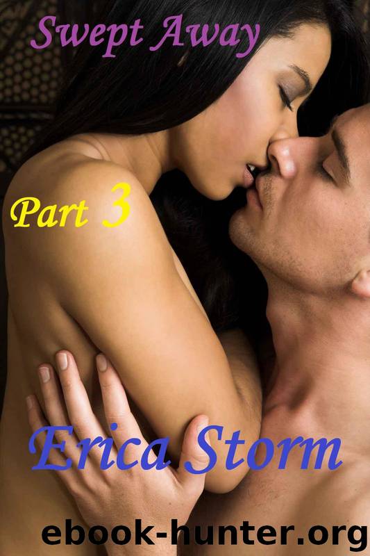 Swept Away 3 by Erica Storm