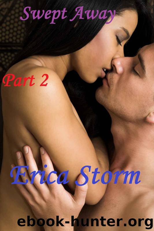 Swept Away Part 2 by Erica Storm