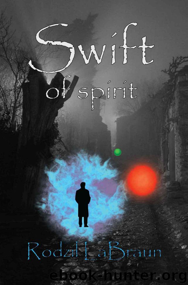 Swift of Spirit by LaBraun Rodzil