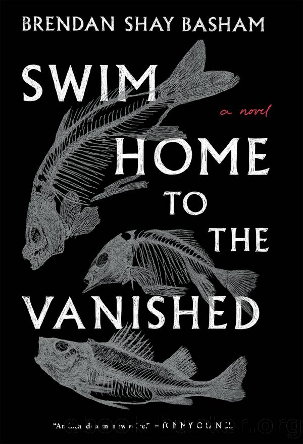 Swim Home to the Vanished by Brendan Shay Basham