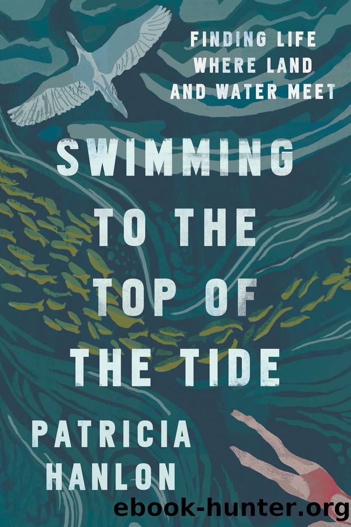Swimming to the Top of the Tide by Patricia Hanlon