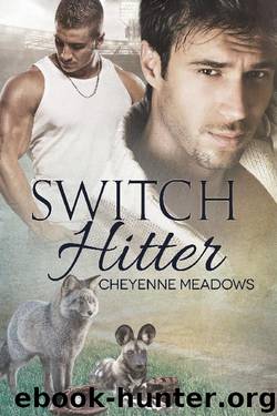 Switch Hitter by Cheyenne Meadows