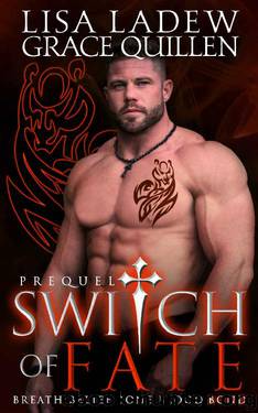 Switch of Fate Prequel by Lisa Ladew & Grace Quillen