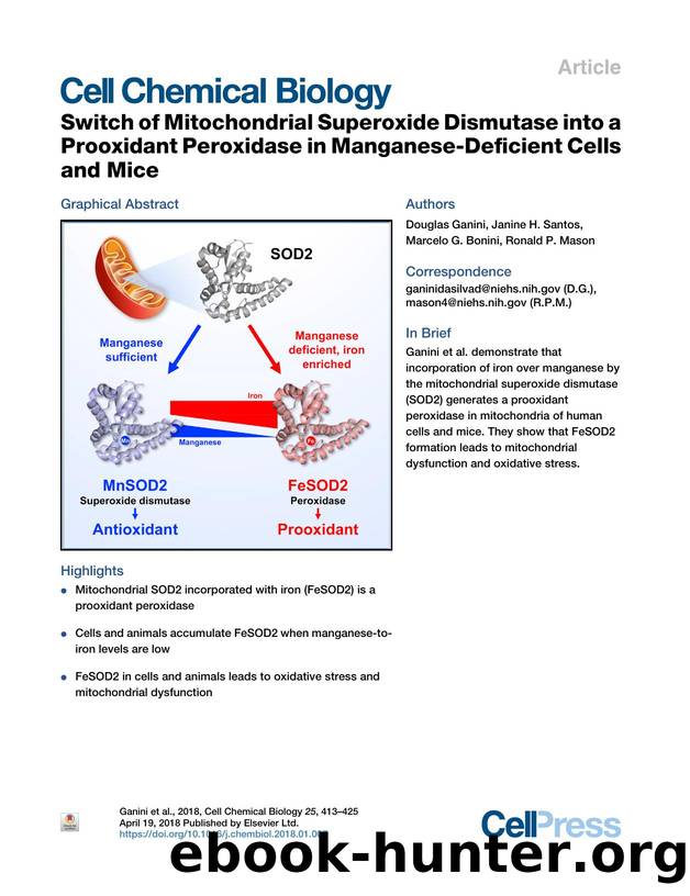 Switch of Mitochondrial Superoxide Dismutase into a Prooxidant Peroxidase in Manganese-Deficient Cells and Mice by Douglas Ganini & Janine H. Santos & Marcelo G. Bonini & Ronald P. Mason