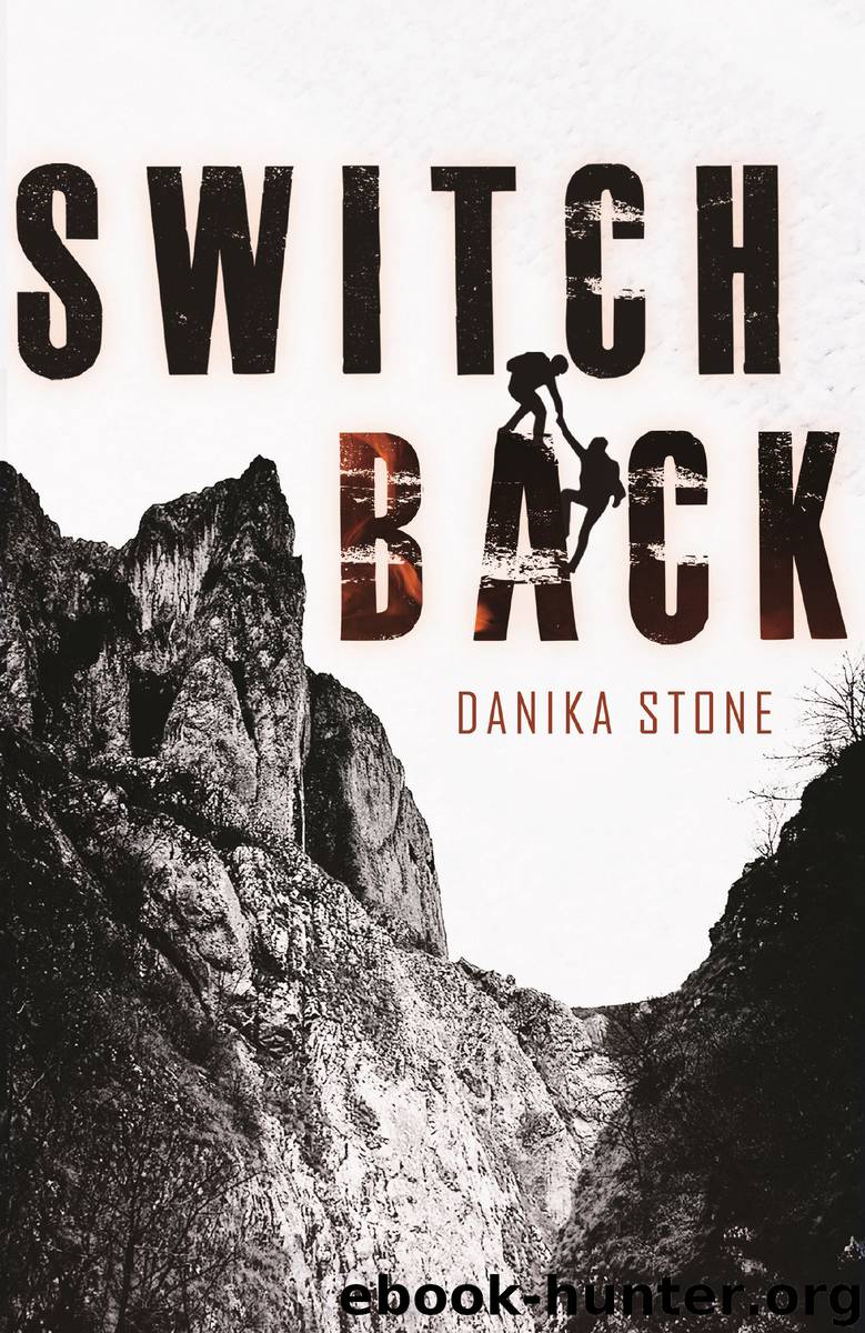 Switchback by Danika Stone