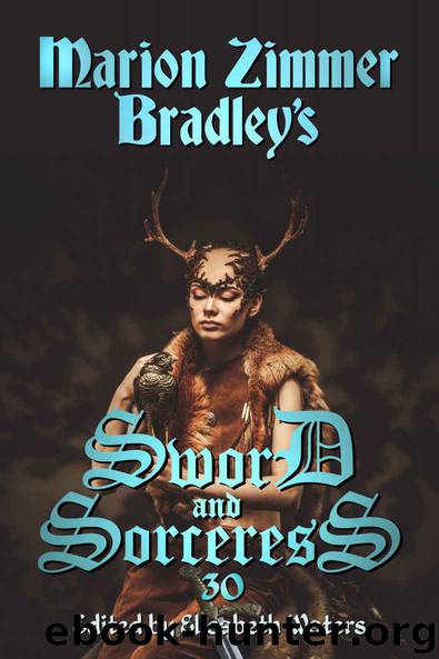 Sword and Sorceress 30 by Waters Elisabeth