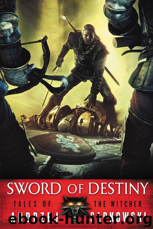 Sword of Destiny by Andrzej Sapkowski
