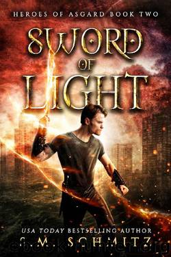Sword of Light by S. M. Schmitz
