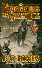 Sword of Shadows #02 - A Fortress of Grey Ice by J. V. Jones