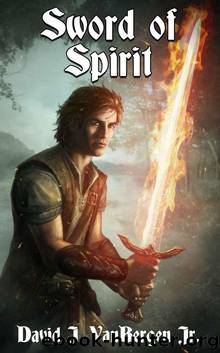 Sword of Spirit (Salvation of Solandeus) by David J. VanBergen Jr