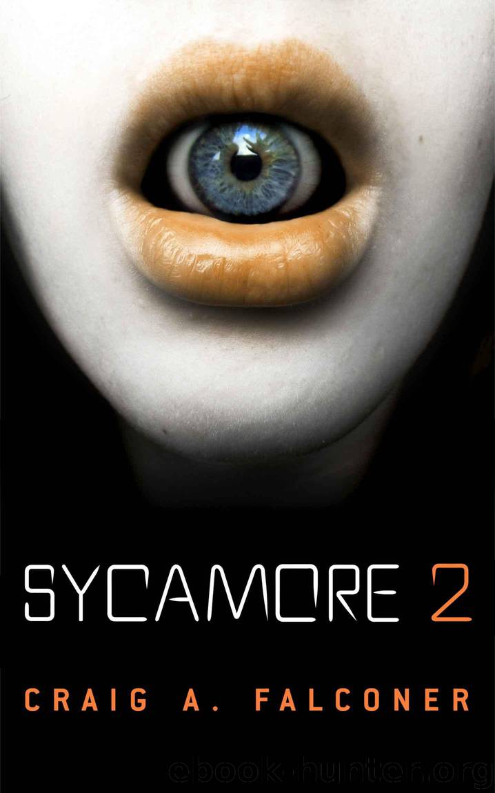Sycamore 2 by Falconer Craig A