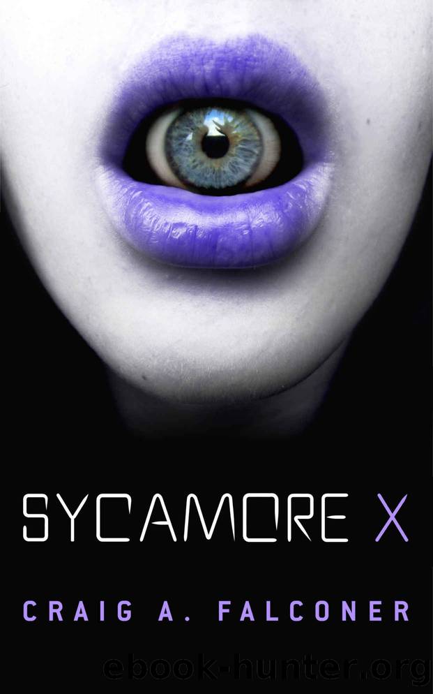 Sycamore X by Falconer Craig A