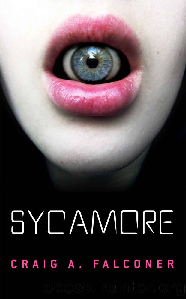 Sycamore by Craig A. Falconer