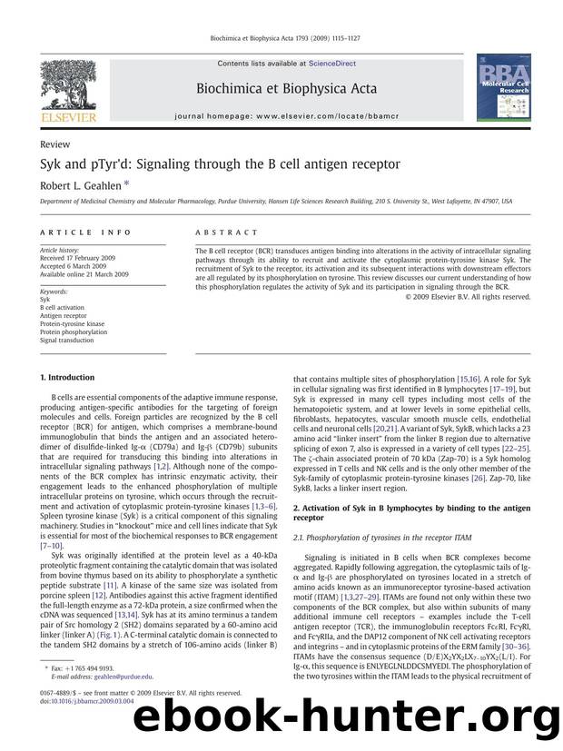 Syk and pTyr'd: Signaling through the B cell antigen receptor by Robert L. Geahlen