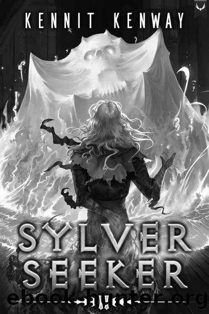Sylver Seeker 2: A LitRPG Adventure by Kennit Kenway