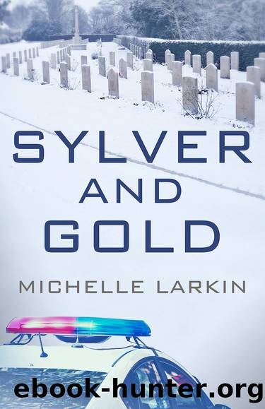 Sylver and Gold by Michelle Larkin