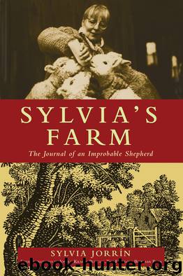 Sylvia's Farm by Sylvia Jorrin