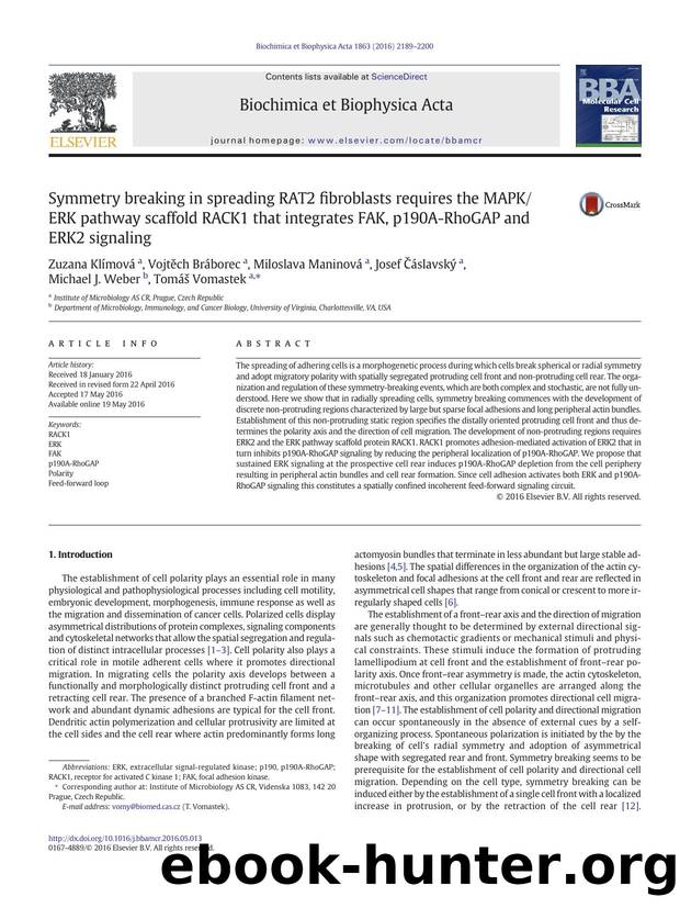 Symmetry breaking in spreading RAT2 fibroblasts requires the MAPKERK pathway scaffold RACK1 that integrates FAK, p190A-RhoGAP and ERK2 signaling by unknow
