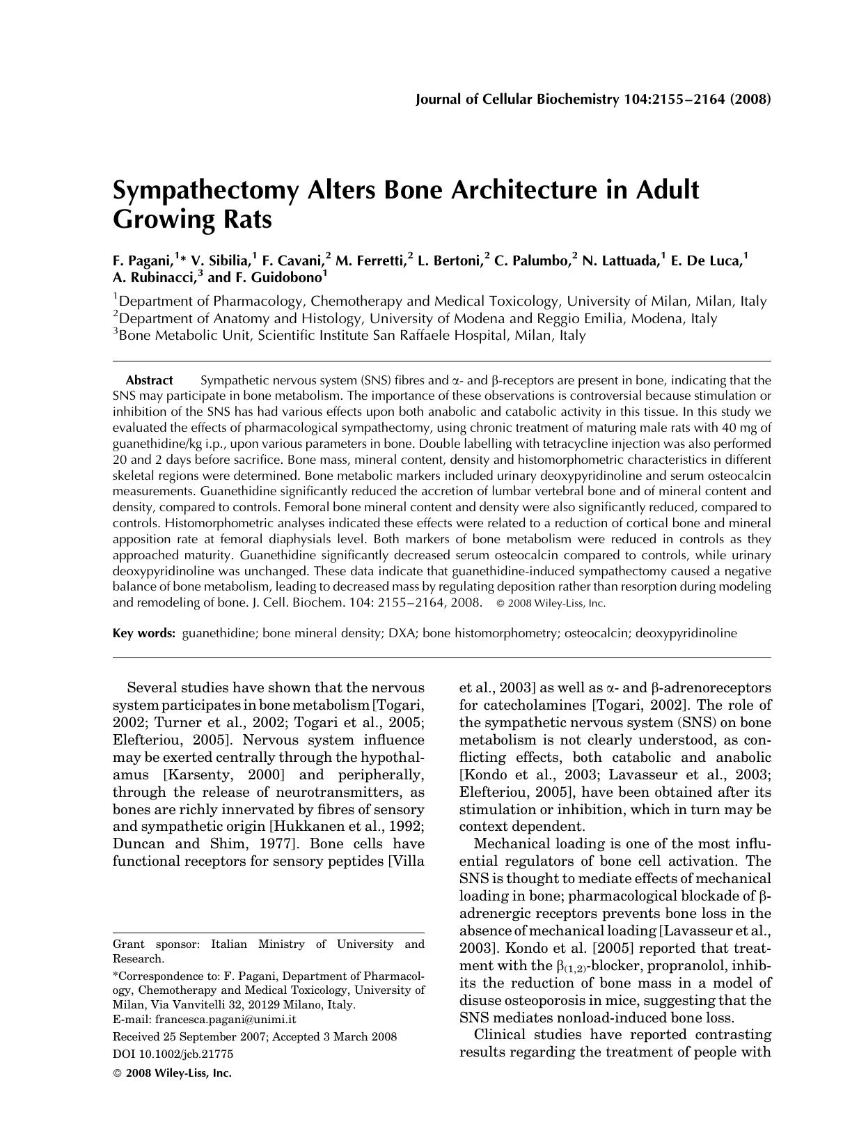 Sympathectomy alters bone architecture in adult growing rats by Unknown