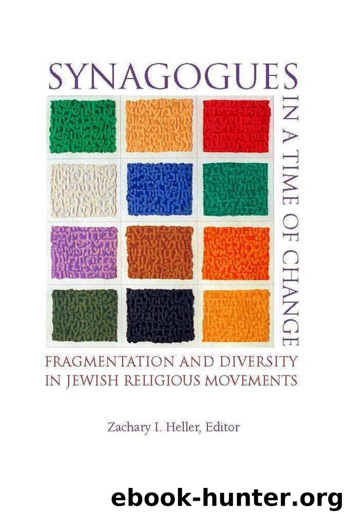 Synagogues in a Time of Change by unknow