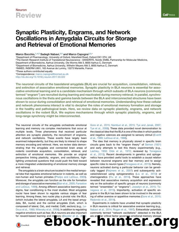 Synaptic Plasticity, Engrams, and Network Oscillations in Amygdala Circuits for Storage and Retrieval of Emotional Memories by Marco Bocchio & Sadegh Nabavi & Marco Capogna