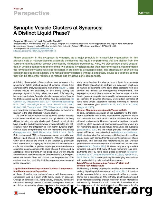 Synaptic Vesicle Clusters at Synapses: A Distinct Liquid Phase? by Dragomir Milovanovic & Pietro De Camilli