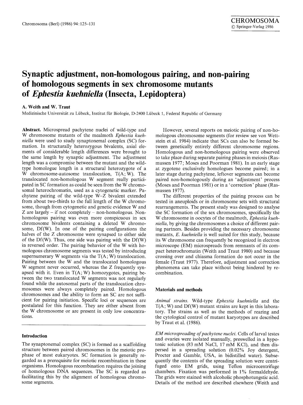 Synaptic adjustment, non-homologous pairing, and non-pairing of homologous segments in sex chromosome mutants of <Emphasis Type="Italic">Ephestia kuehniella<Emphasis> (Insecta, Lepidoptera) by Unknown