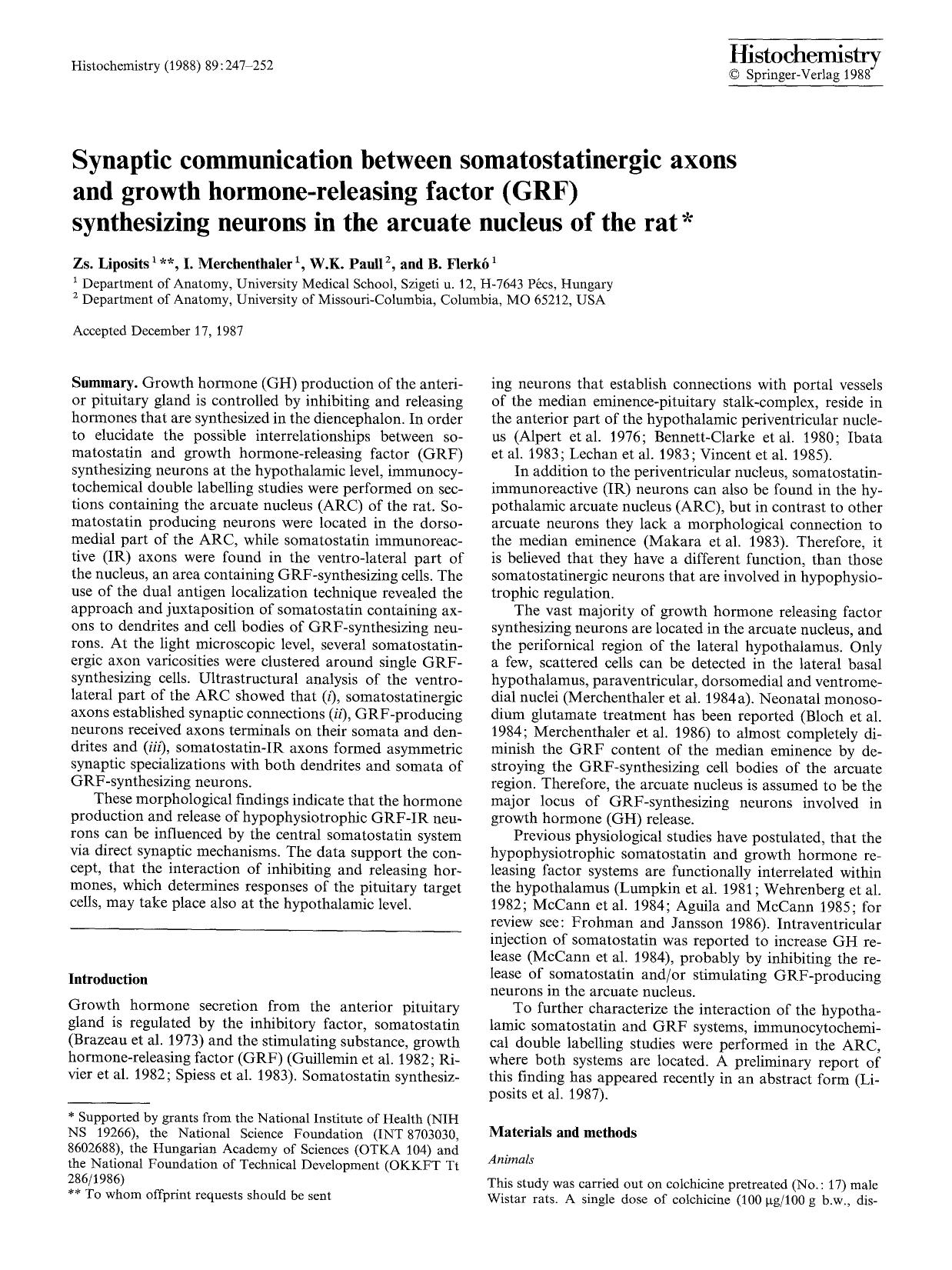 Synaptic communication between somatostatinergic axons and growth hormone-releasing factor (GRF) synthesizing neurons in the arcuate nucleus of the rat by Unknown