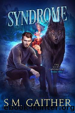 Syndrome by S M Gaither