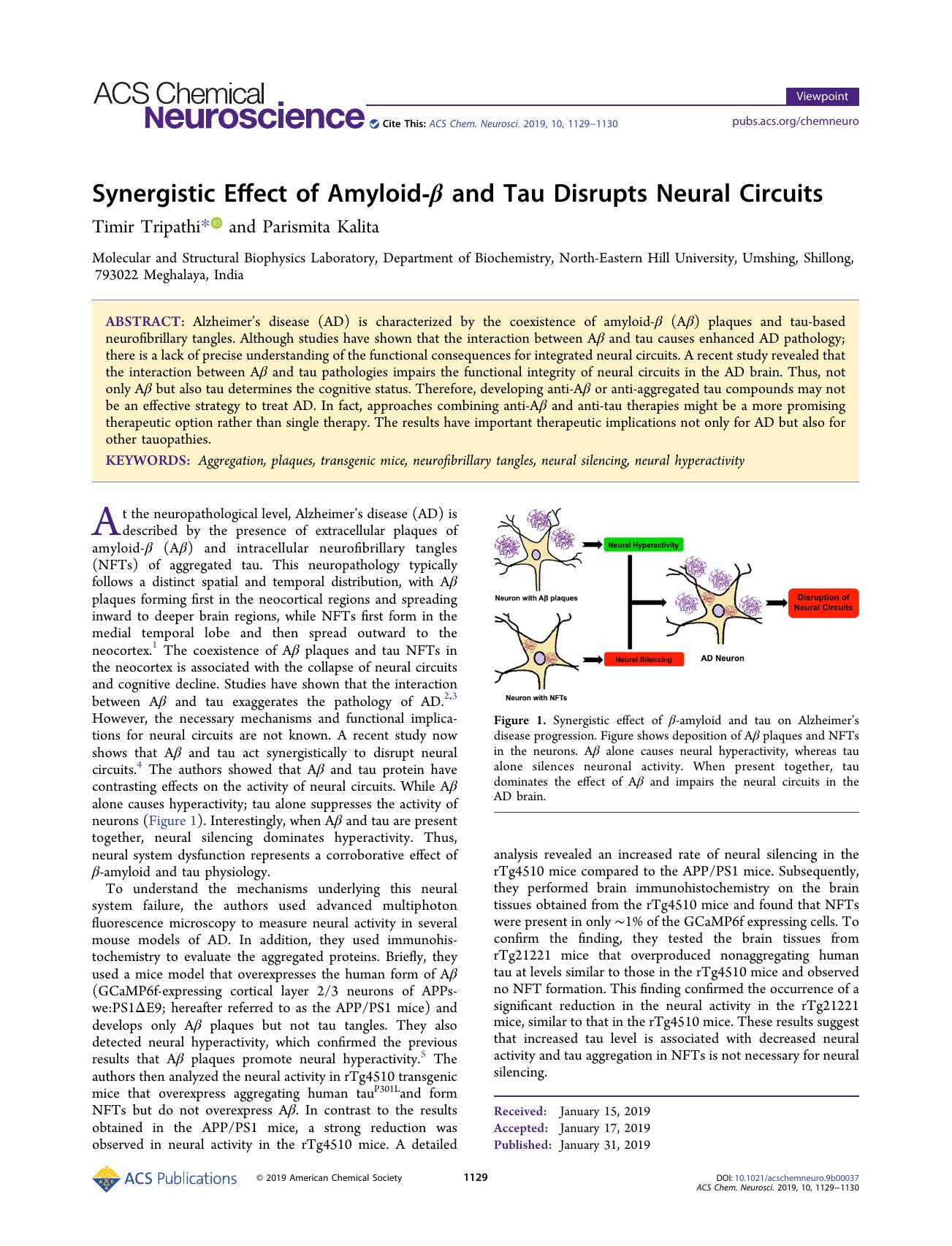 Synergistic Effect of Amyloid-Î² and Tau Disrupts Neural Circuits by Timir Tripathi and Parismita Kalita