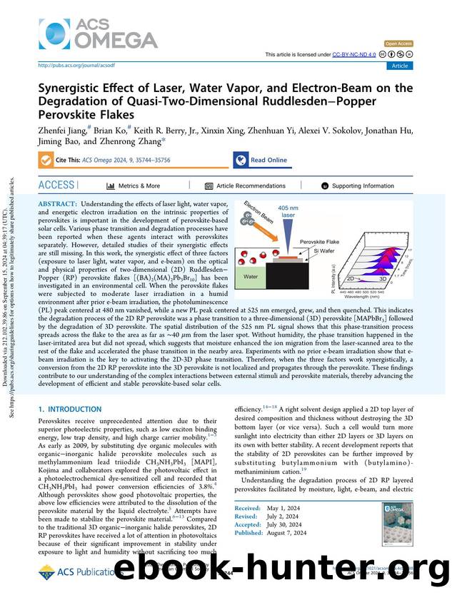 Synergistic Effect of Laser, Water Vapor, and Electron-Beam on the Degradation of Quasi-Two-Dimensional RuddlesdenâPopper Perovskite Flakes by unknow