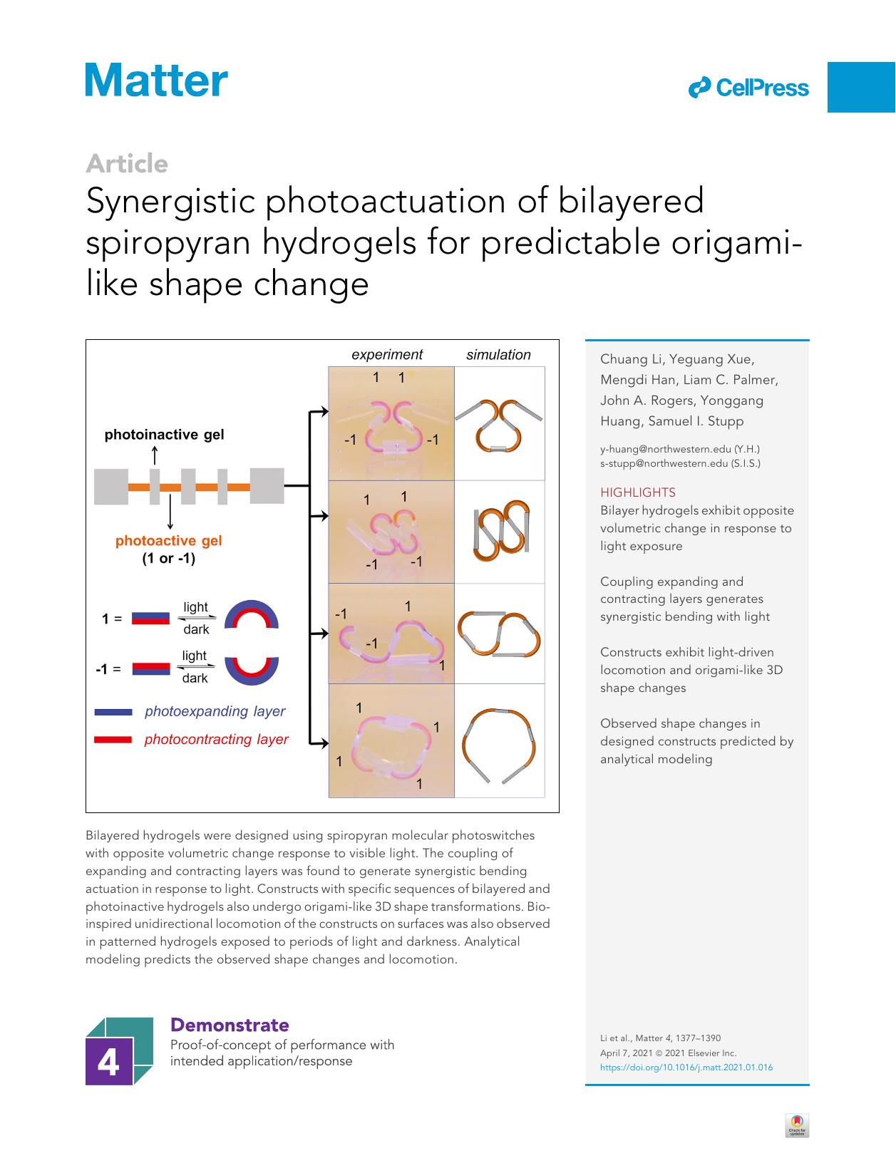 Synergistic photoactuation of bilayered spiropyran hydrogels for predictable origami-like shape change by unknow
