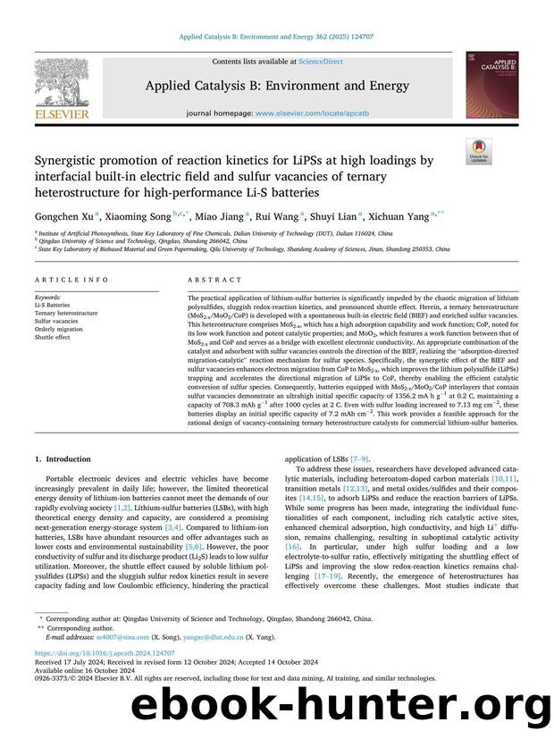 Synergistic promotion of reaction kinetics for LiPSs at high loadings by interfacial built-in electric field and sulfur vacancies of ternary heterostructure for high-performance Li-S batteries by Gongchen Xu & Xiaoming Song & Miao Jiang & Rui Wang & Shuyi Lian & Xichuan Yang